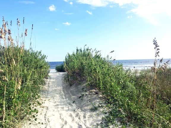 Oceanview 2B/2B SC110 Updated Condo with Private Beach Walkway and Pool - Image 2