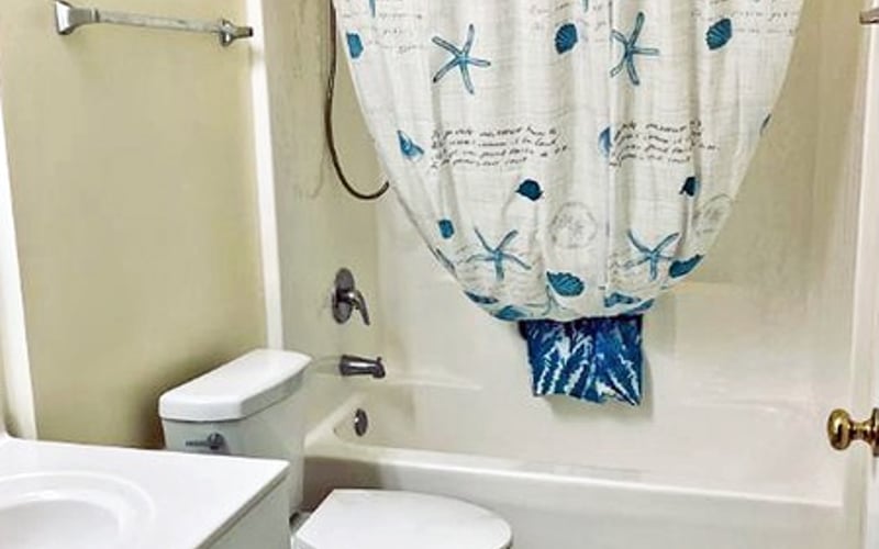 Bathroom with white toilet, sink, and shower curtain decorated with blue starfish and shells