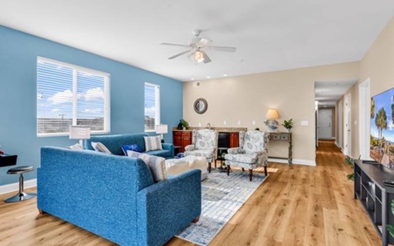 Open-plan living room with blue sofa, hardwood floors, blue accent wall, and ceiling fan