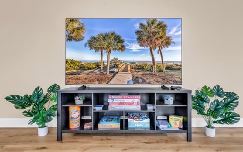 TV mounted above black media console with decorative plants and landscape scene displayed on screen